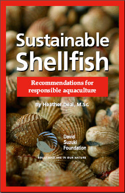 'Sustainable Shellfish', David Suzuki Foundation