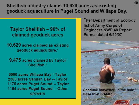 Statistics on ACOE submission claims for geoduck aquaculture.