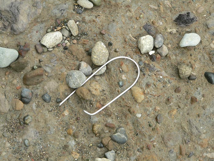 broken oyster bag clip in Totten Inlet, June 4, 2008