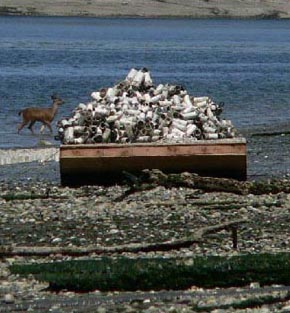 Barge in Zangle Cove