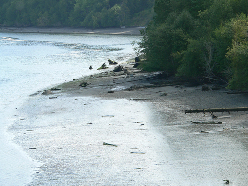 Zangle Cove 2006